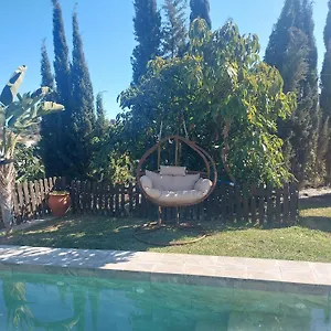 Aguacate Con Apto , Nerja España